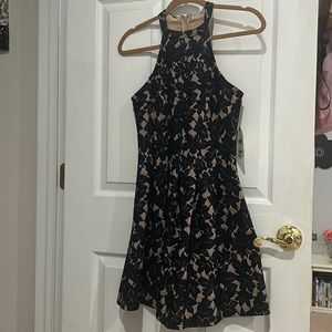 NWT Altard State Navy and Beige Lace Dress Size S